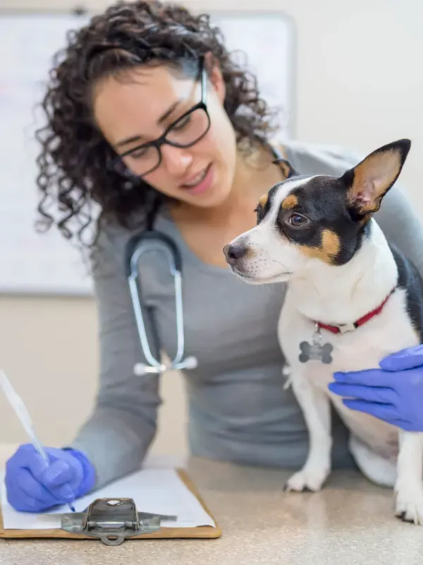 SELECCIONA EL SERVICIO